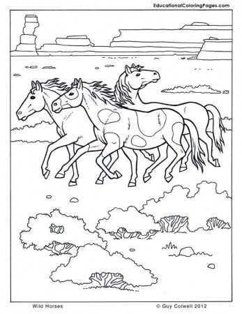 printable coloring pages for kids | Animal Coloring Pages for Kids