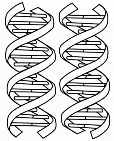 Images of DNA coloring pages | Coloring Pages