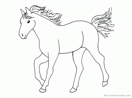 Horse of Colouring Pages (page 2)