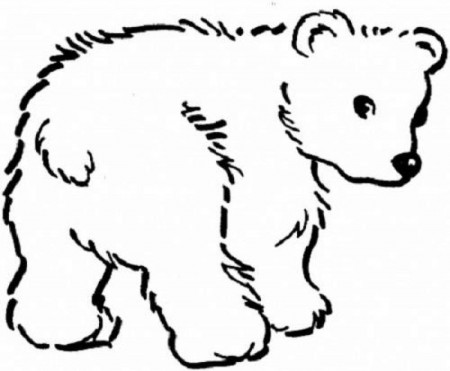 Free Coloring Pages Bears - Kids Colouring Pages