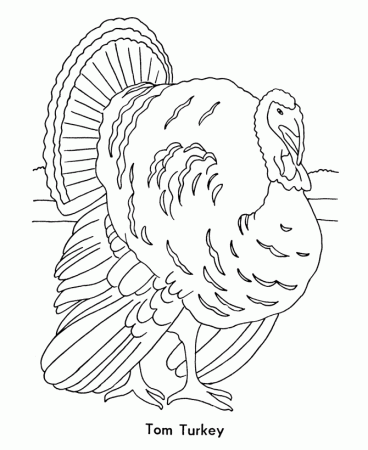 Coloring Pages: Turkey Coloring Pages