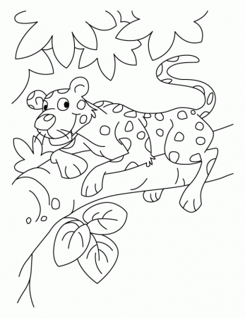 Baby leopard coloring pages | Download Free Baby leopard coloring 