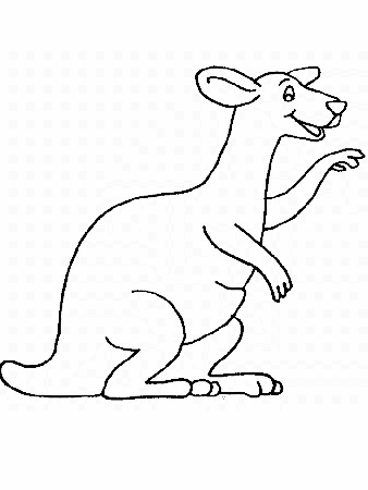 Kangaroo Animals Coloring Pages & Coloring Book