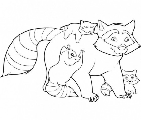 Young Racoon Dog Coloring Page Id 1241 Uncategorized Yoand 185961 