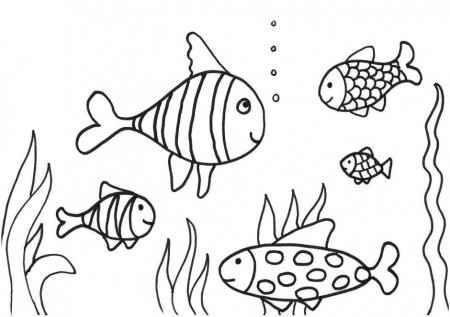 Fish Template Craft Free Colouring Tropical Preschool Kids 243079 