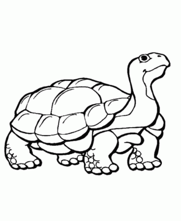 animals that hibernate Colouring Pages