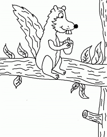 Squirrel With Nut On Branch Tree Coloring Pages - Tree Coloring 
