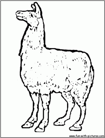 Free Alpaca Animal Coloring Pages Coloring Pages 177716 Llama 