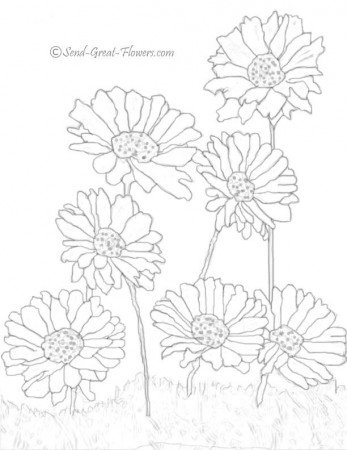 daisy-coloring-pictures-1.jpg