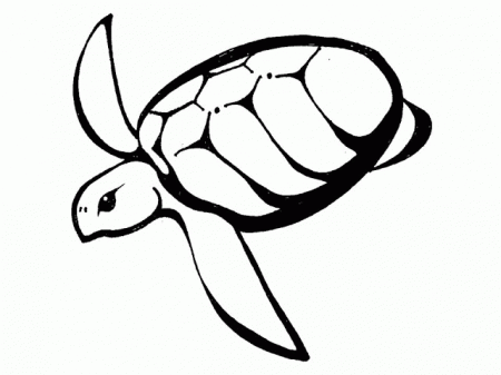 Turtle Tattoo Outline | eyecatchingtattoos.
