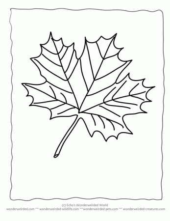 Maple Leaf Coloring Page, Our Leaf Coloring Page Collecting with 