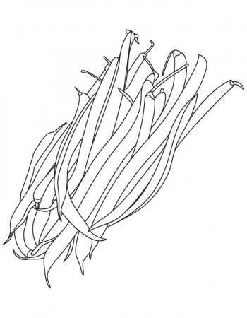 String beans coloring pages, Kids Coloring pages, Free Printable 