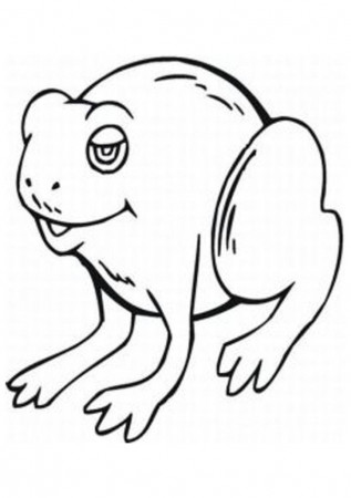 Sweet Fat Frog Coloring Pages | Laptopezine.