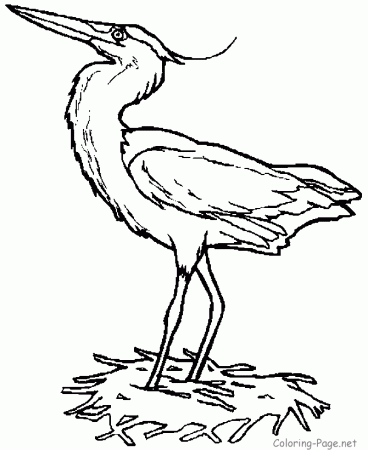Proud heron coloring page | quilt bead