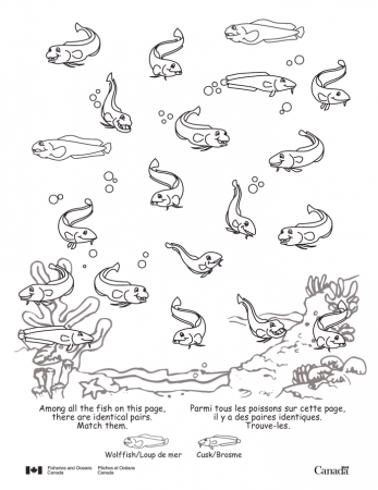 ARCHIVED - Colouring Book - Aquatic Species at Risk - DFO 