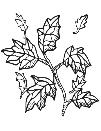 autumn leaves coloring page fall