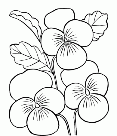 Print Flower Coloring Pages Printable or Download Flower Coloring 