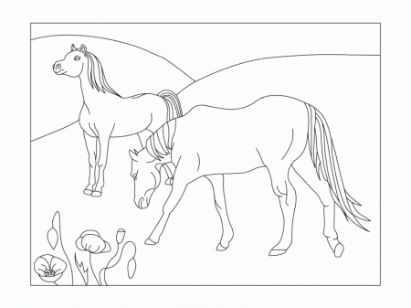 Horse 6 Coloring Page