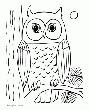 Owl Coloring Pages For Kids