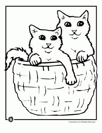 coloring pages kittens