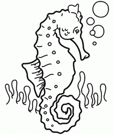Animals Seahorses print coloring pages. 22