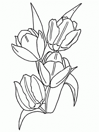 De Tulipanes Para Colorear Dibujos Infantiles 254788 Coloring 