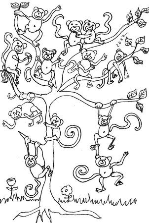 Monkey Tree by Cherie Sexsmith - Monkey Tree Drawing - Monkey Tree 