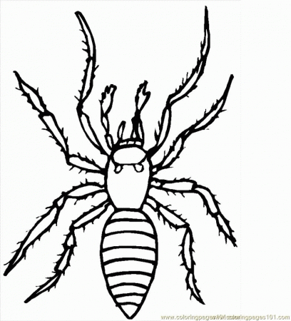 spider pictures Colouring Pages (page 3)