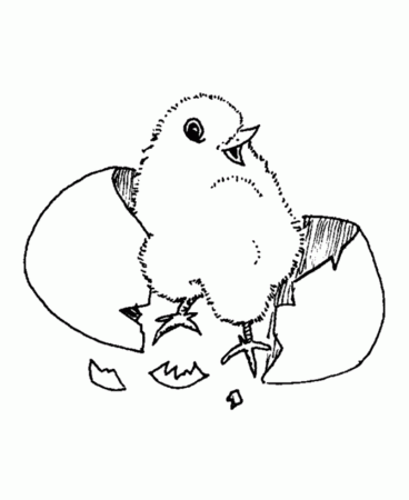 Baby Chick In Egg Coloring Page - Coloring Pages For All Ages