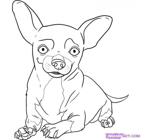 Pics Photos Chihuahua Coloring Pages Chihuahua Coloring Pages Jpg ...