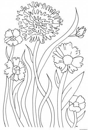 Relaxing Coloring Pages For Kids Sheet Simple Flowers Adultle Princess To  Print Pdf Free – Approachingtheelephant