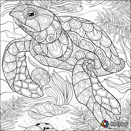 Turtle coloring page | Recolor app | Turtle coloring pages, Animal coloring  pages, Coloring books