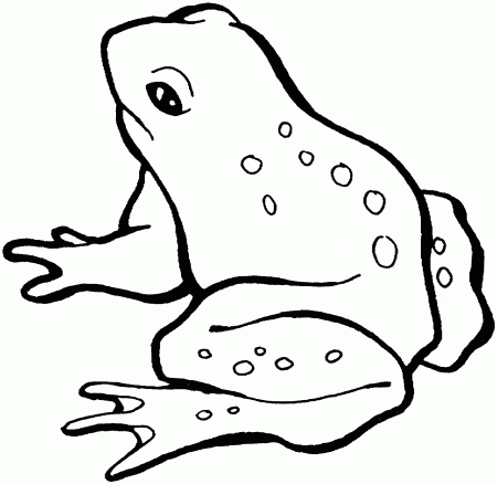 Frog Coloring Pages and Book | UniqueColoringPages