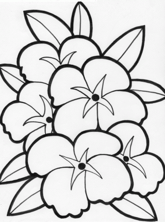 Beautiful Flower Coloring Pages For Kids #nk : Printable Flowers ...