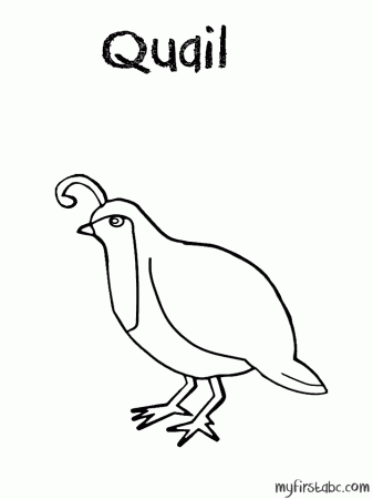 Quail Coloring Page - My First ABC