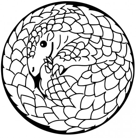 Pangolin Ball Coloring Page - Free Printable Coloring Pages for Kids