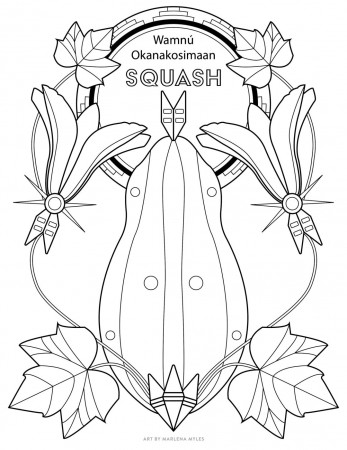 Free Coloring Pages of the 3 Sisters/Sage & DIY Seed Packets | The Art of  Marlena Myles