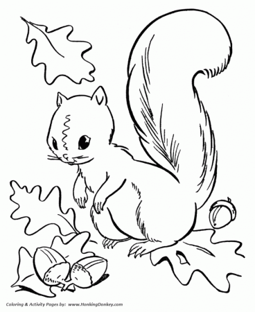Fall Coloring pages - Squirrel Collecting Acorns Coloring Page Sheets of  the Fall Season | HonkingDonkey