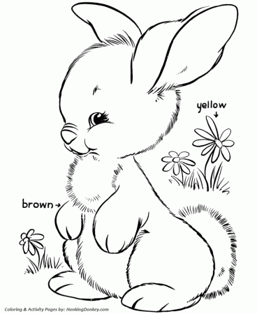 Easter Bunny Coloring Pages - Fluffy Bunny Coloring Pages ...