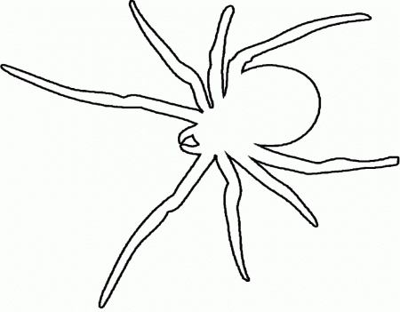 11 Pics of Halloween Spider Coloring Pages Free - Halloween Spider ...
