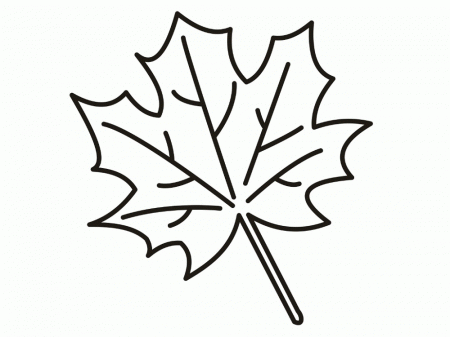 Leaf Coloring Pages Printable | Activity Shelter