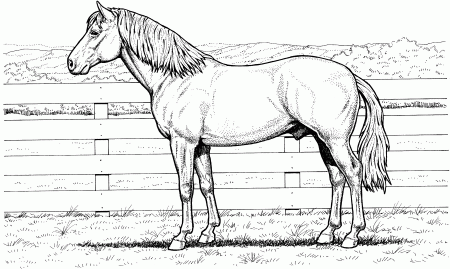 Free Realistic Horse Coloring Pages Printable - VoteForVerde.com