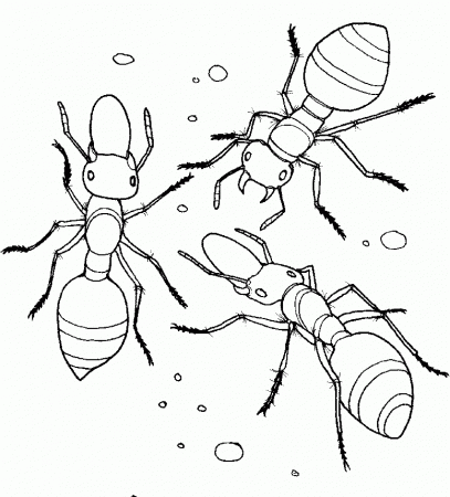 ants coloring page - High Quality Coloring Pages