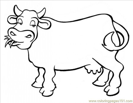 Cow Big Coloring Page - Free Cow Coloring Pages : ColoringPages101.com