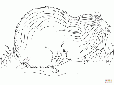 Cute Lemming coloring page | Free Printable Coloring Pages