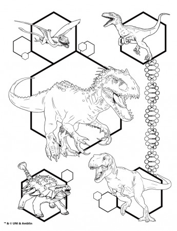 Jurassic World colouring book T-rex paper green/blue 7 pcs - TWM Tom  Wholesale Management