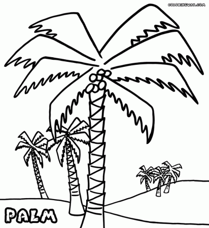 Records Palm Tree Coloring Pages Coloring Pages To Download And ...