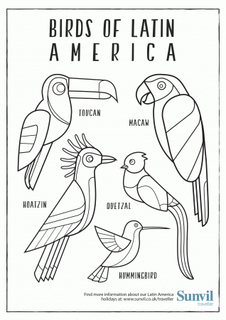 Birds of Latin America – Colouring Page