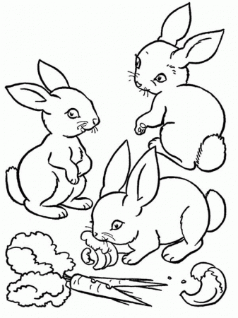 Three Cute Bunnies Eating the Carrot Coloring Page - Download ...