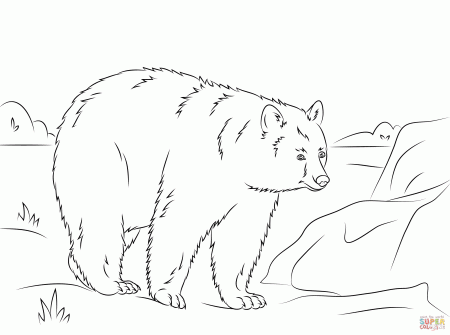 Black Bear Coloring Pages Printable - Coloring Pages For All Ages